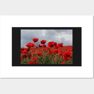 Lest we forget- POPPY HORIZON Posters and Art